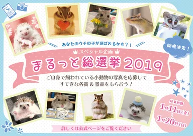 まるっと総選挙 2019 POP