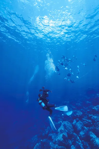 メイキング(海中)