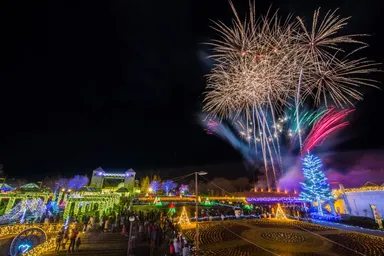 ぐんまフラワーパークイルミネーションフェスタ