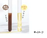 酸化した皮脂としてない皮脂の比較画像