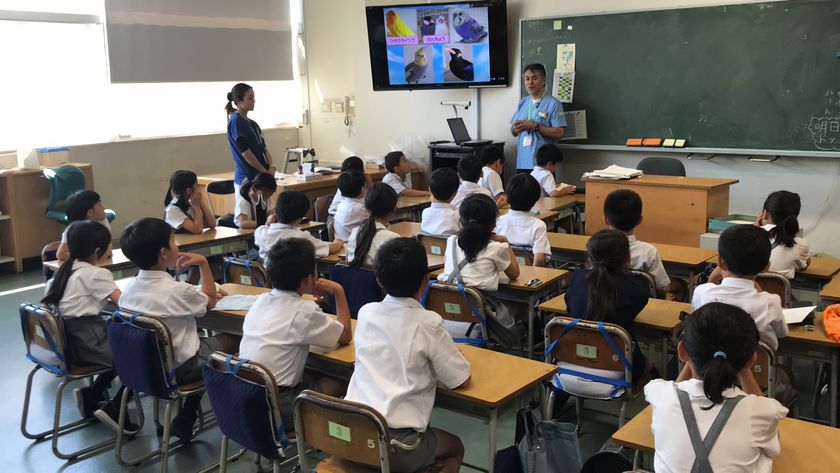 【ペット保険のアイペット】
子どもたちへ身近な動物の生態を教える
ふれあって学ぶ「動物の授業」支援状況のご報告
