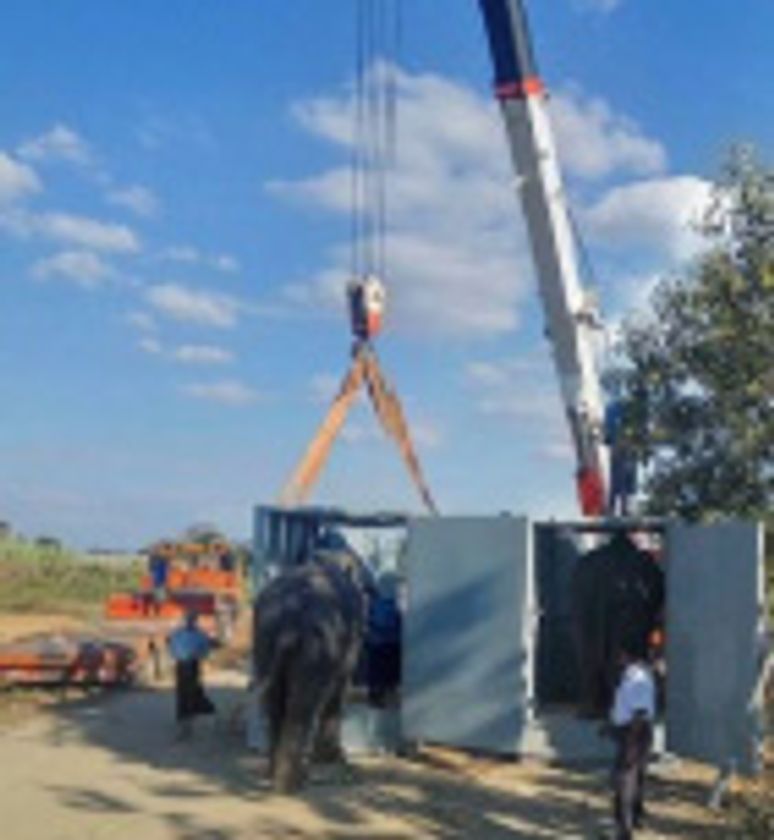 ミャンマーから札幌市円山動物園へ、アジアゾウ4頭を輸送しました！ 