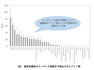 図1　嫌気培養後のユーグレナ細胞外で検出されたアミノ酸