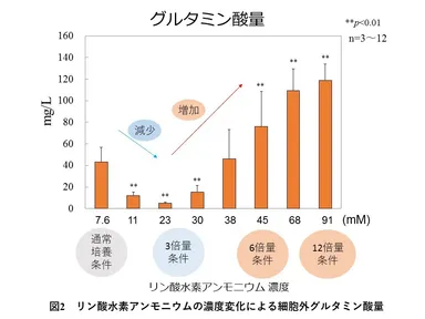 図2　リン酸水素アンモニウムの濃度変化による細胞外グルタミン酸量