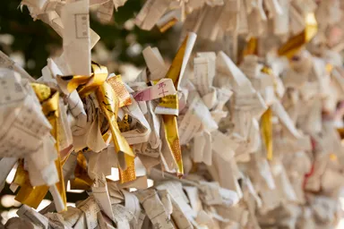 【OMO5 東京大塚】そばこん　OMOレンジャー風景（神社）