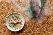 【星のや富士】春の狩猟肉ディナー_桜鱒の燻製サラダ