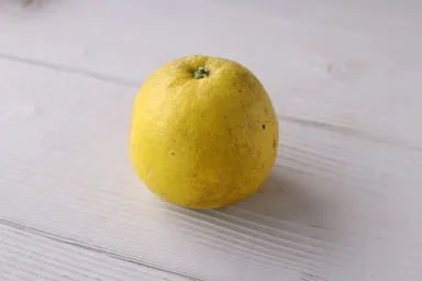 淡路島なるとオレンジ(2)