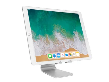 BIG SWING-iPad Pro13inch