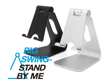 BIG SWING-STAND BY ME