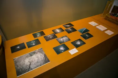 期間限定ポストカードとプリント作品