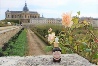 商品画像「ジャルダン・カシェ」(2)