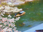 【星のや京都】奥嵐山の花見舟(１)