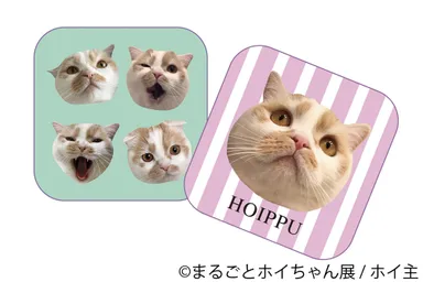 ＜ホイ主＞ハンカチ 各種1,000円(税別)