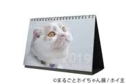 ＜ホイ主＞ホイちゃんひとことカレンダー 1,200円(税別) 