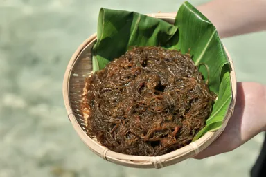 【星のや竹富島】もずく(2)