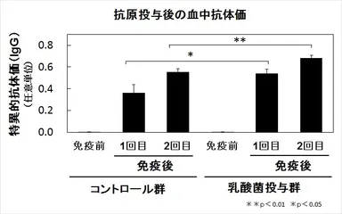 抗原投与後の血中抗体価
