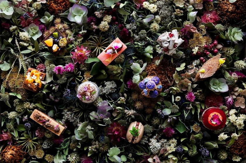 星野リゾート　軽井沢ホテルブレストンコート
ショコラが届ける幸せな時間
「セゾン・ド・ショコラ 2019」開催
期間　2019年2月8日～14日