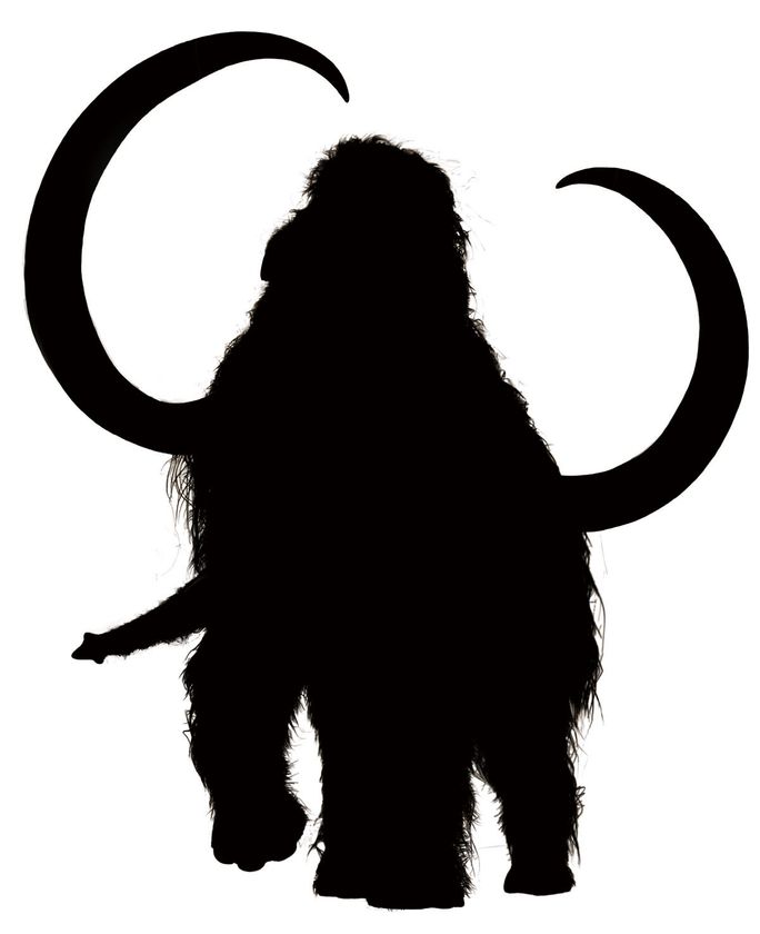 企画展「マンモス展」 開催決定！
2019年6月7日（金）～11月4日（月・祝）日本科学未来館