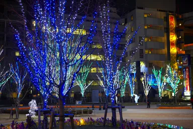 過去のイルミネーション