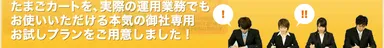 お試しプラン2