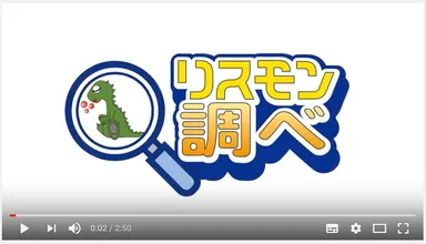 リスモン調べ動画キャプチャ