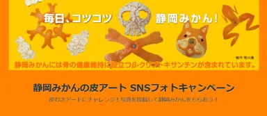 静岡みかんの皮アートSNSフォトキャンペーン