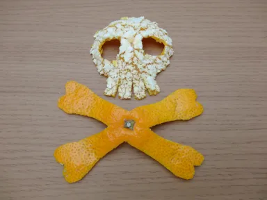 みかんの皮アート2