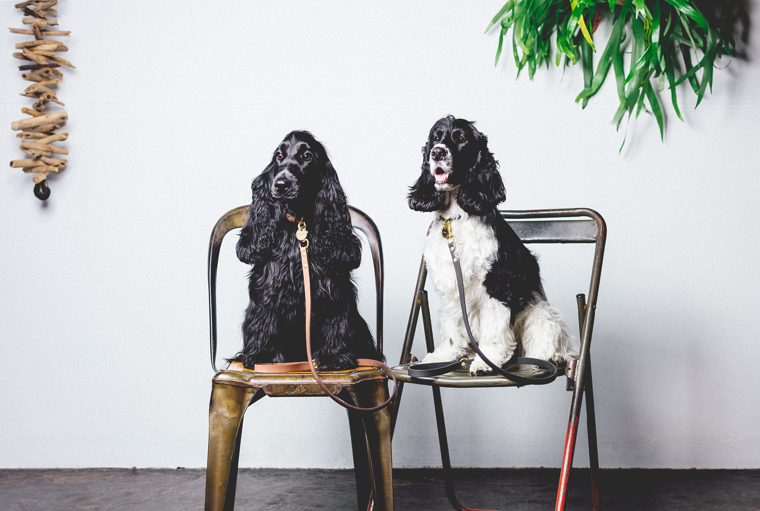 新ドッググッズブランド『CITY DOG』本格デビュー 20代女性2人が立ち上げるシンプルで洗練されたブランド｜CITY DOGのプレスリリース