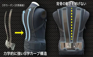 背骨の動きを妨げない構造。