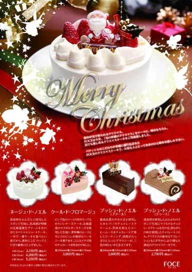 光の妖精たちのクリスマス