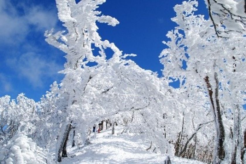 【奈良交通】
   霧氷バスの運行について