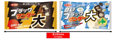 ブラックサンダー大　2種