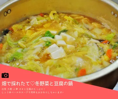 腸内フローラ鍋2