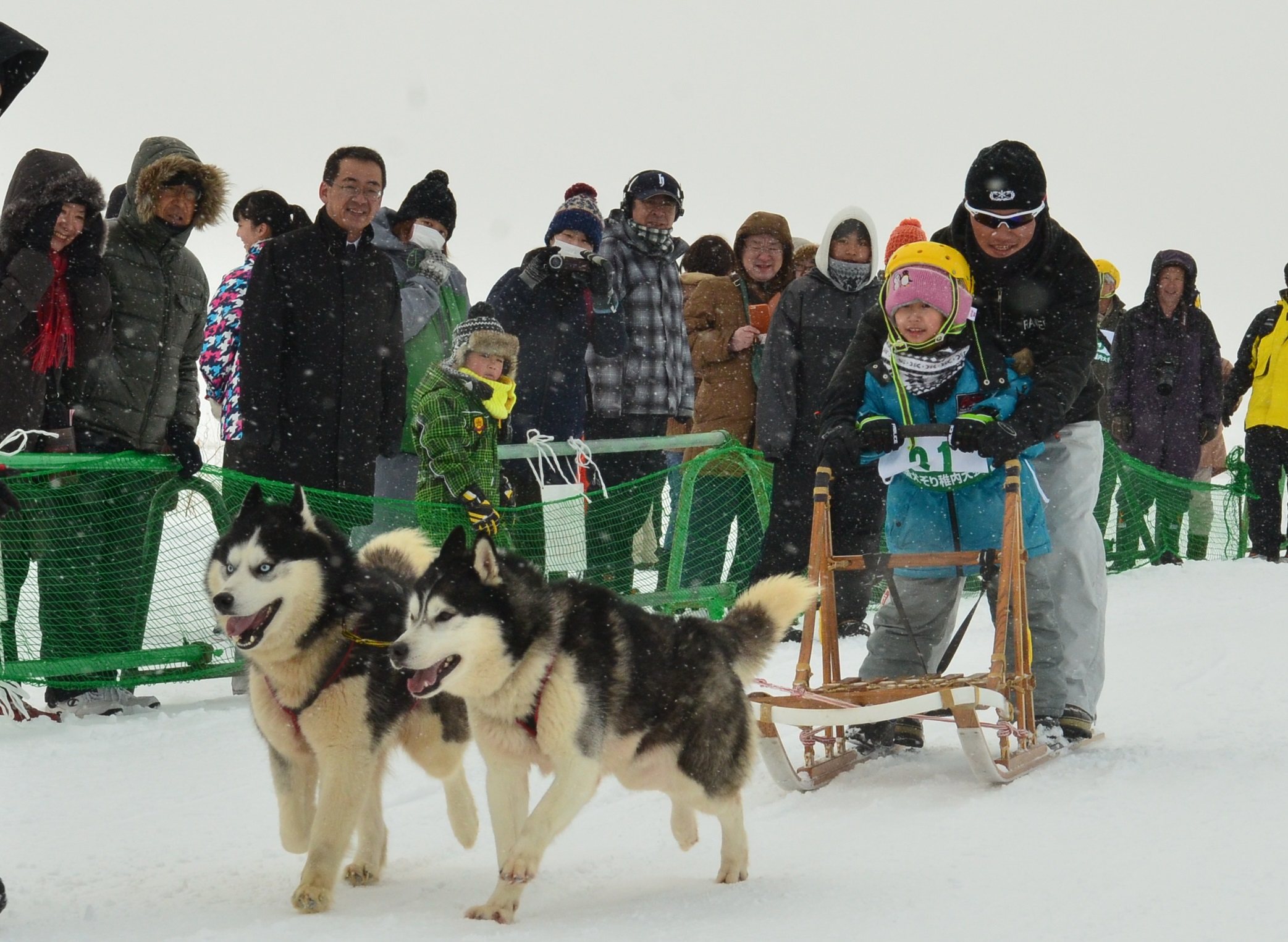 日本最北稚内で犬たちの甲子園開催 第36回全国犬ぞり稚内大会を2月23日 土 24日 日 に開催 全国犬ぞり稚内大会実行委員会のプレスリリース