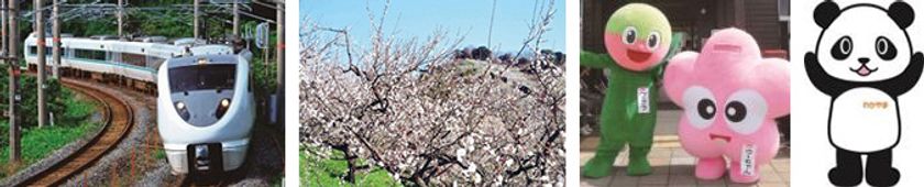 “日本一の梅の里「南部梅林」”で　春の訪れを感じる日帰り旅
新大阪駅発　特急「くろしお」号　貸切り列車で行く
南部（みなべ）梅林ウォーク　2月16日（土）限定販売中