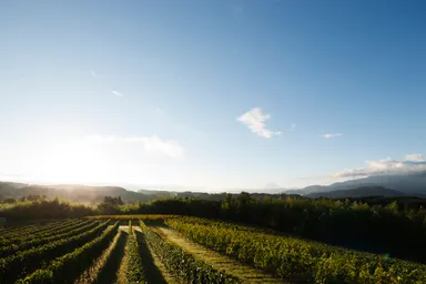 【リゾナーレ八ヶ岳】ドメーヌ ミエ・イケノ (1)