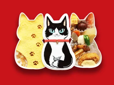 ハチワレ「昴」