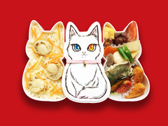 白ネコ「小春」
