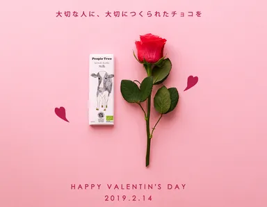 Happy Valentine's Day