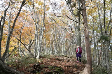 氷ノ山トレッキング