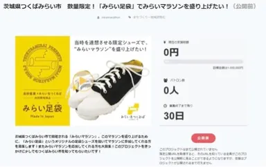 クラウドファンディングページ