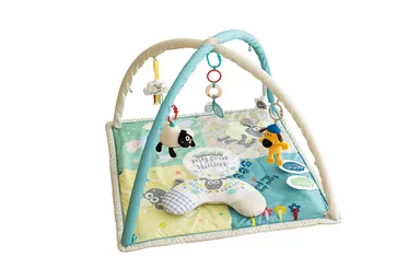 アクティビティプレイジム