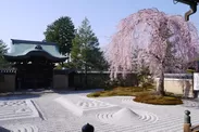 春の特別早朝拝観・散策プラン「高台寺」