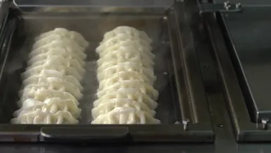 餃子イメージ_焼餃子