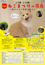 東京 湯島で猫ざんまい！限定猫スイーツや猫の御朱印など、地域14店舗が協力して『ねこまつり』を2月5日から開催