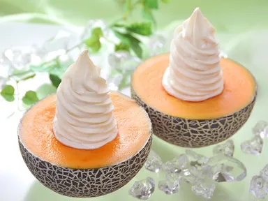 昨年実績イメージ2