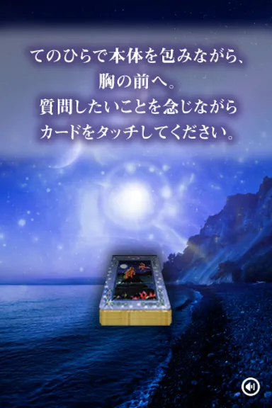 マーメイド＆ドルフィン