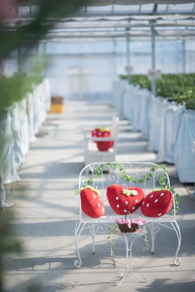 3、アンティークパイプチェア