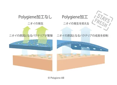 ポリジン加工による効果