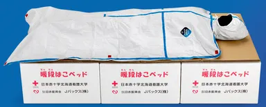 ESB使用例：避難所での使用を想定した場合です。